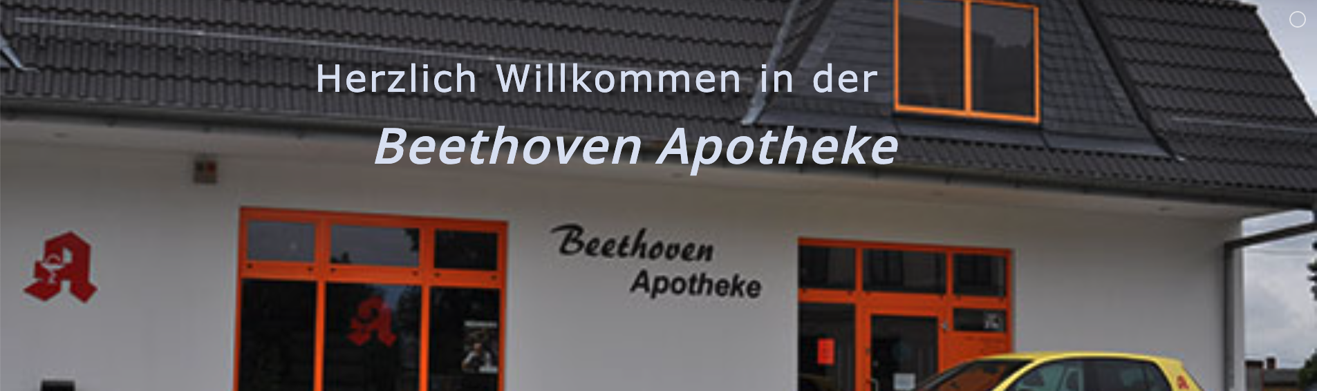 Banner Banner